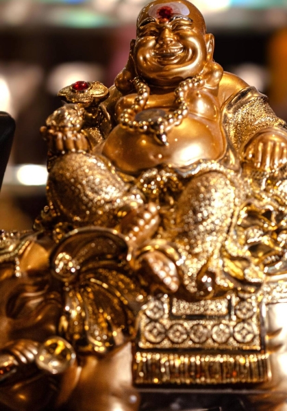 Le restaurant - Le Taj Indien - restaurant Lyon - Restaurant Lyon 1  - Restaurant Indien Lyon 1 - Restaurant Lyon 1